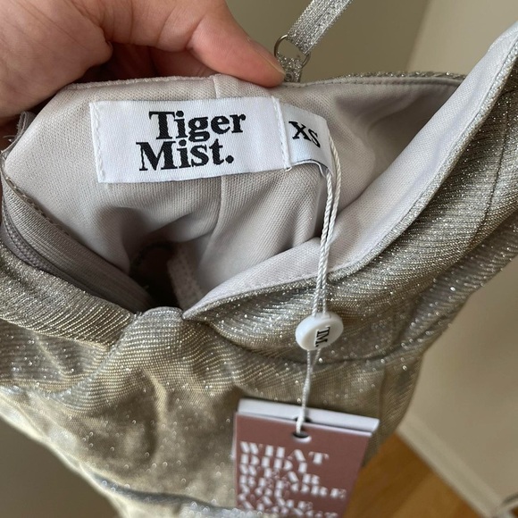 Tiger mist silver bodycon dress 
Size: XS - Picture 5 of 6